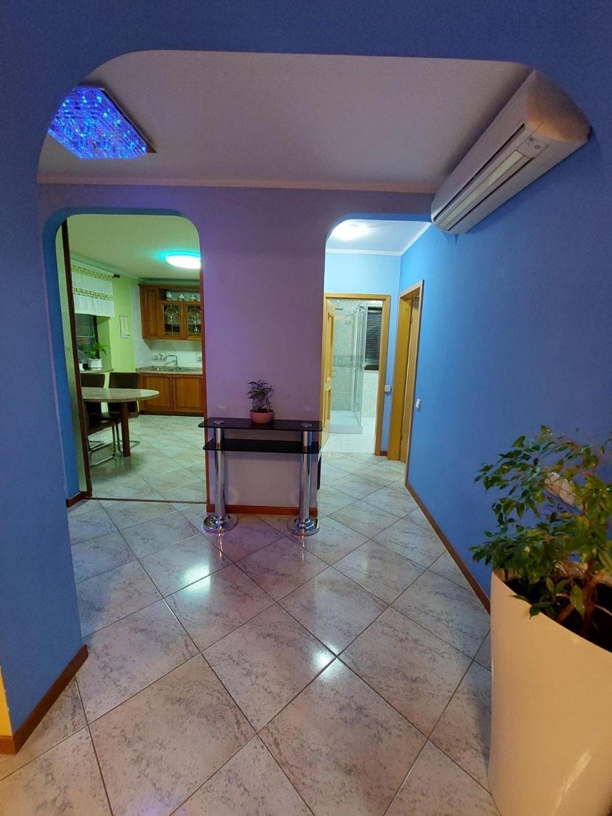 Apartma Mimi Dekani Dış mekan fotoğraf